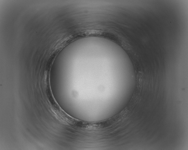 X0000077330550200610200917
