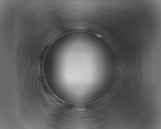 X0000077330552200610200917
