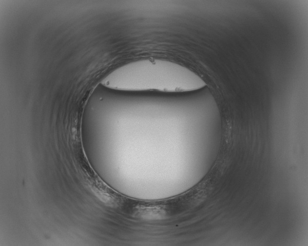 X0000077330553200610200917