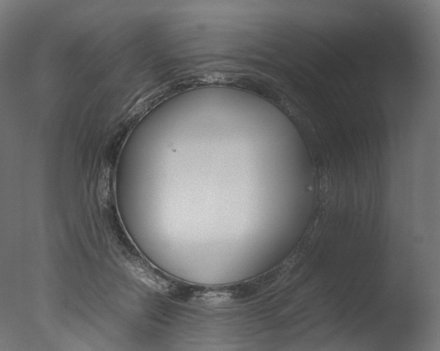 X0000077330554200610200917