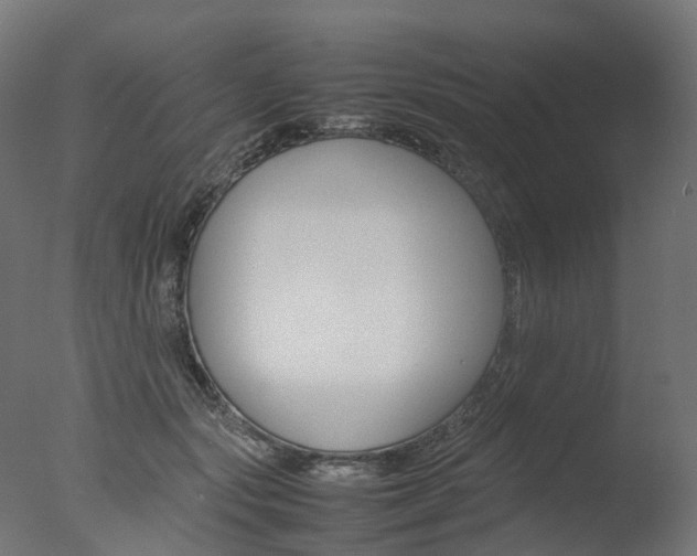 X0000077330557200610200917