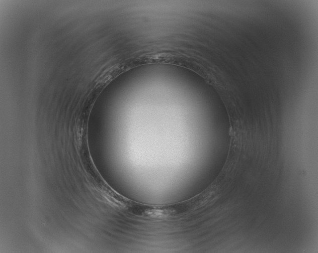 X0000077330558200610200918