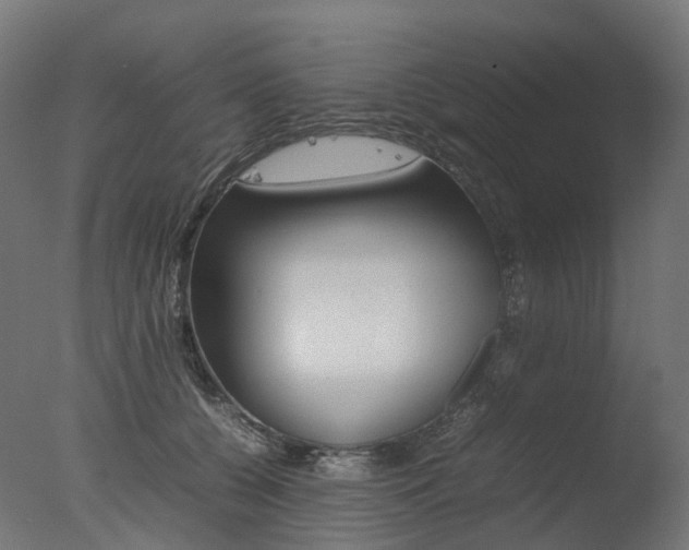 X0000077330560200610200918
