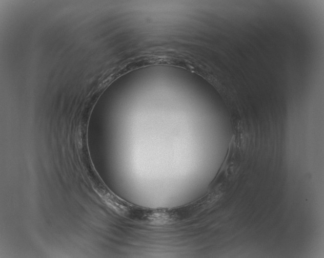 X0000077330562200610200918