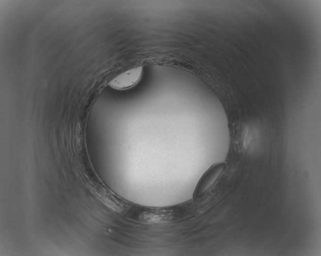 X0000077330563200610200918