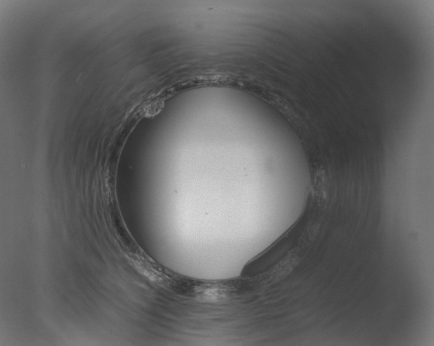 X0000077330564200610200918