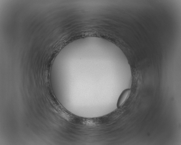 X0000077330565200610200918