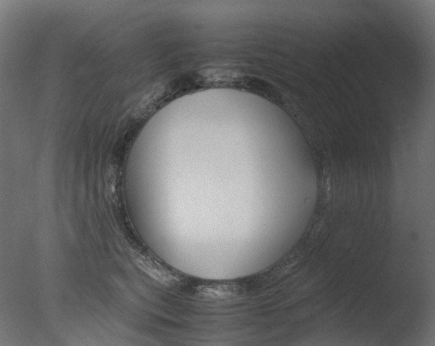 X0000077330567200610200918