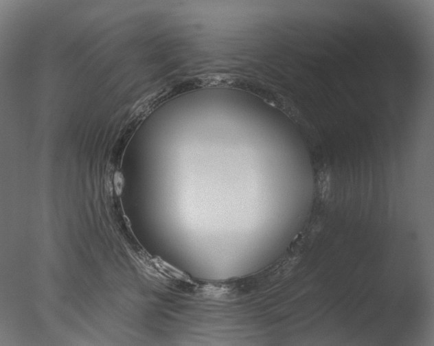 X0000077330570200610200918