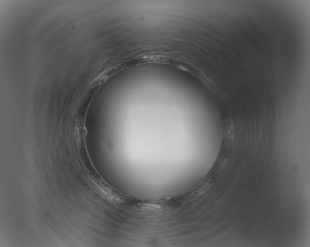X0000077330572200610200918