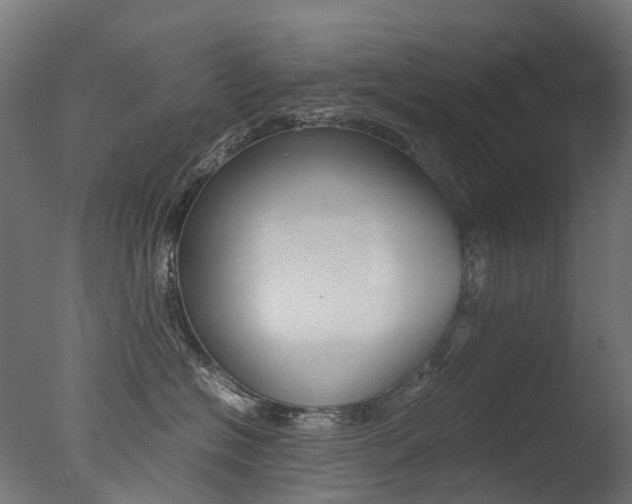 X0000077330574200610200918