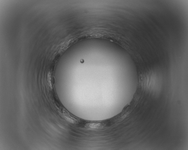 X0000077330575200610200918
