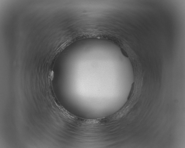 X0000077330576200610200918