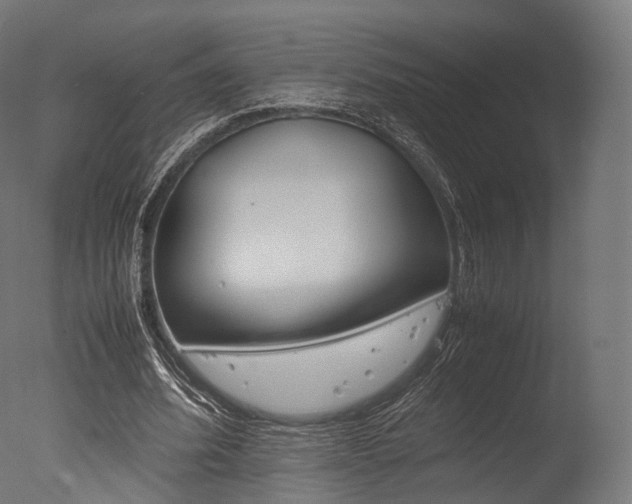 X0000077330580200610200917