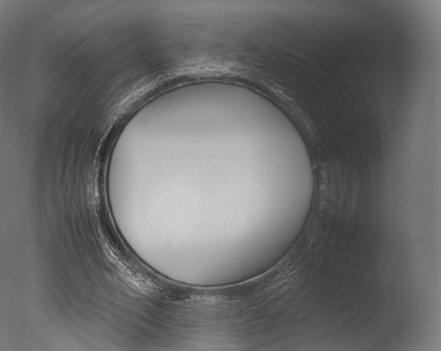 X0000077330582200610200917