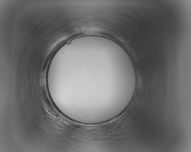 X0000077330583200610200917