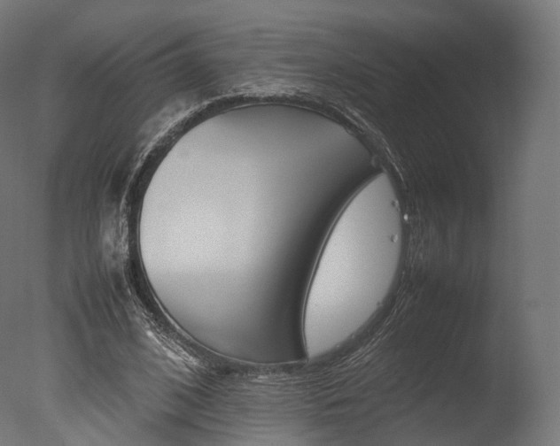 X0000077330584200610200917