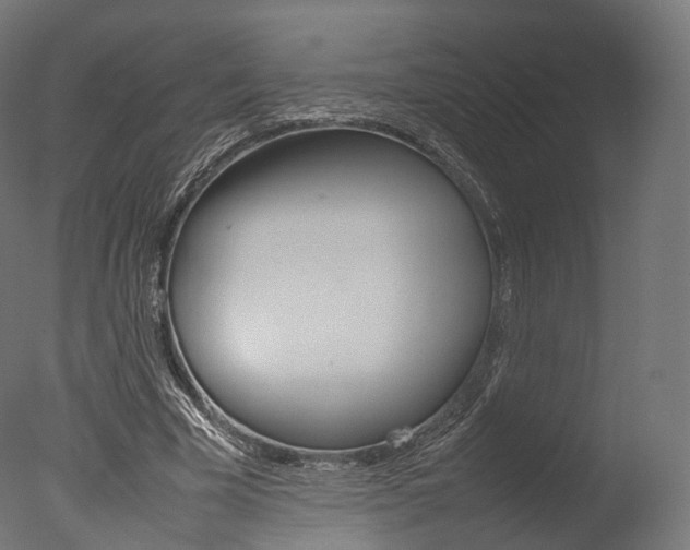 X0000077330585200610200917
