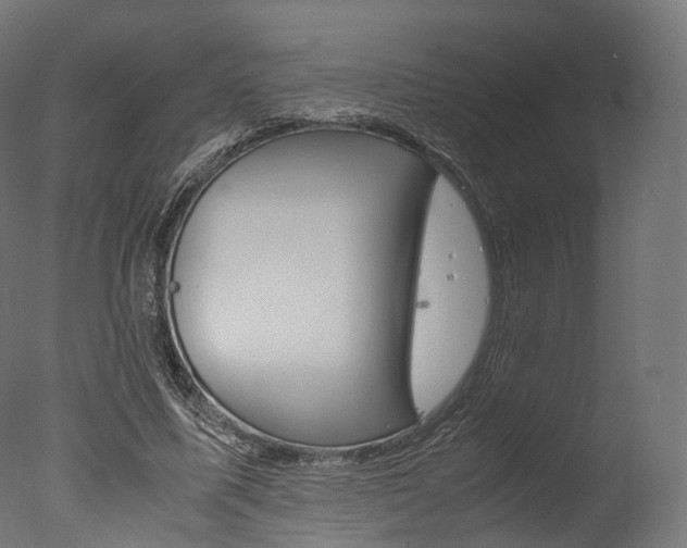 X0000077330587200610200917