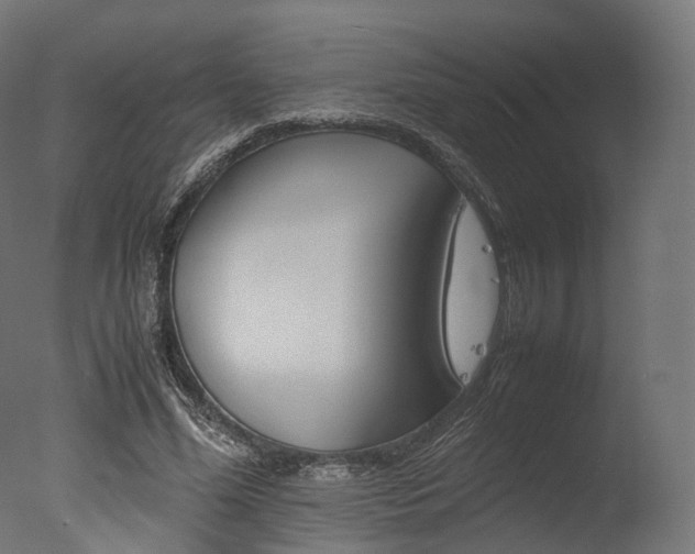 X0000077330588200610200917
