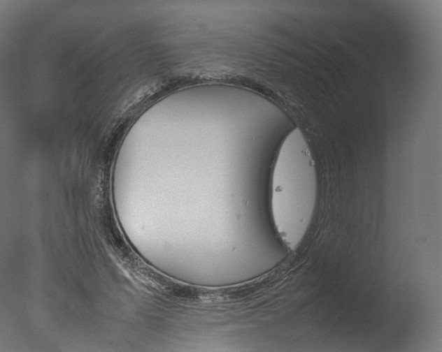 X0000077330591200610200917