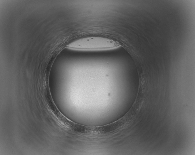 X0000077330593200610200917