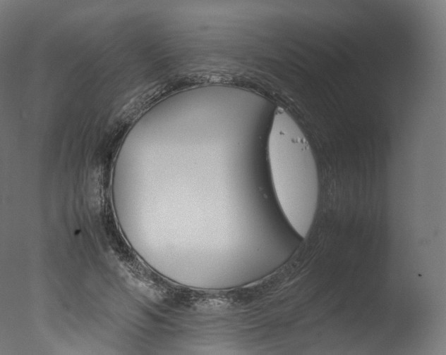 X0000077330594200610200917