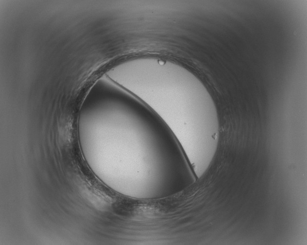 X0000077330596200610200917