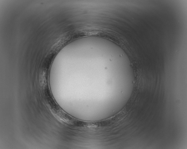 X0000077330598200610200917