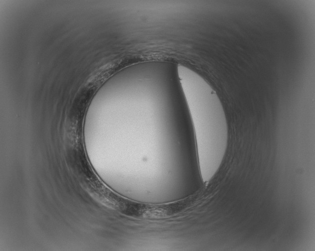 X0000077330599200610200917