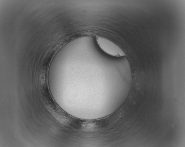 X0000077330602200610200917