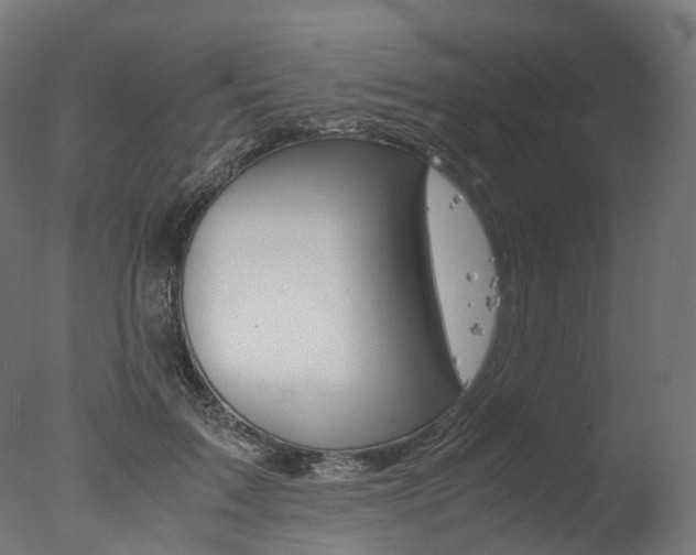 X0000077330603200610200917