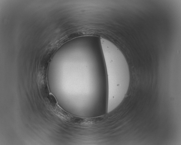 X0000077330604200610200917