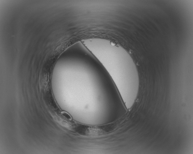 X0000077330605200610200917