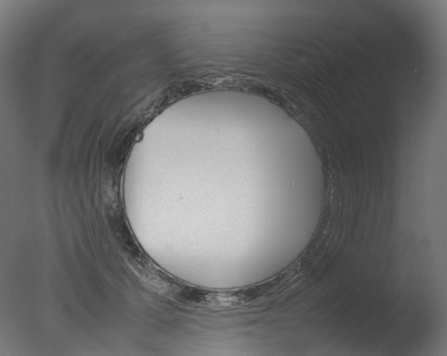 X0000077330607200610200916