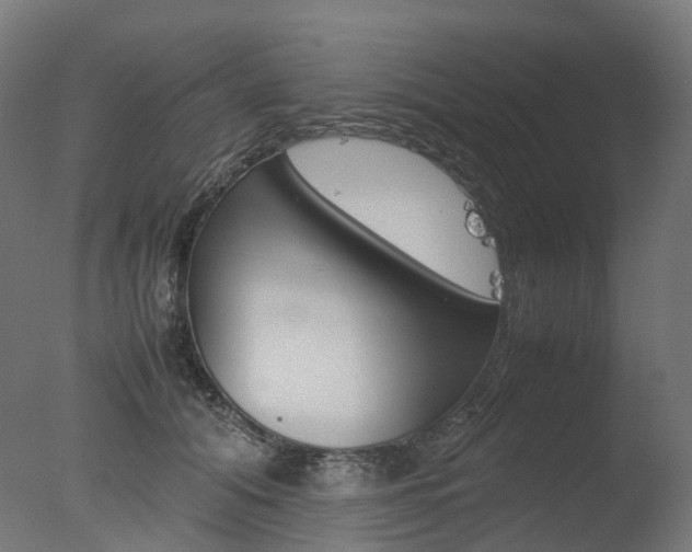 X0000077330608200610200916