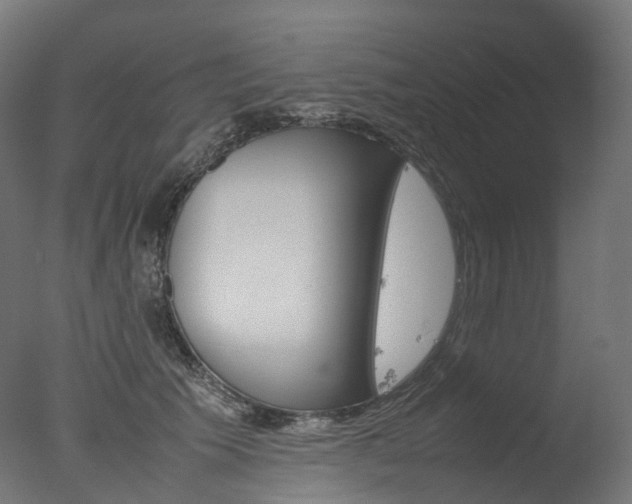 X0000077330609200610200916
