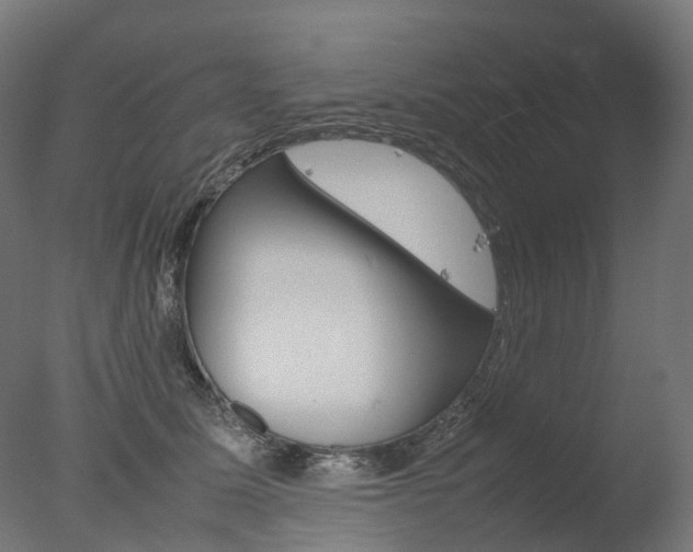 X0000077330611200610200916