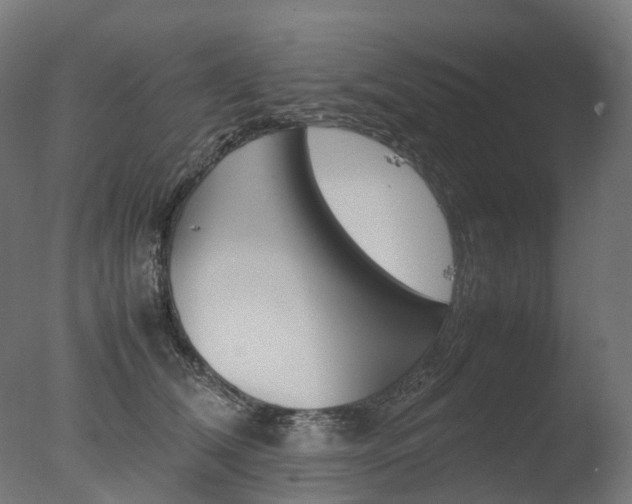 X0000077330612200610200916