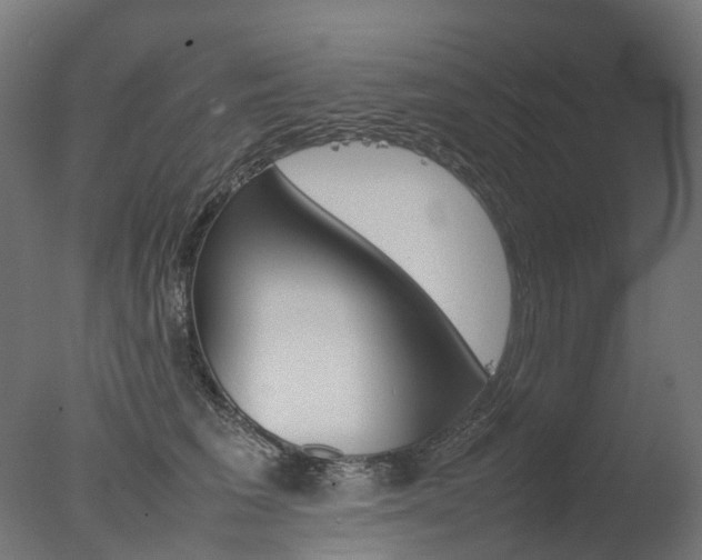 X0000077330613200610200916