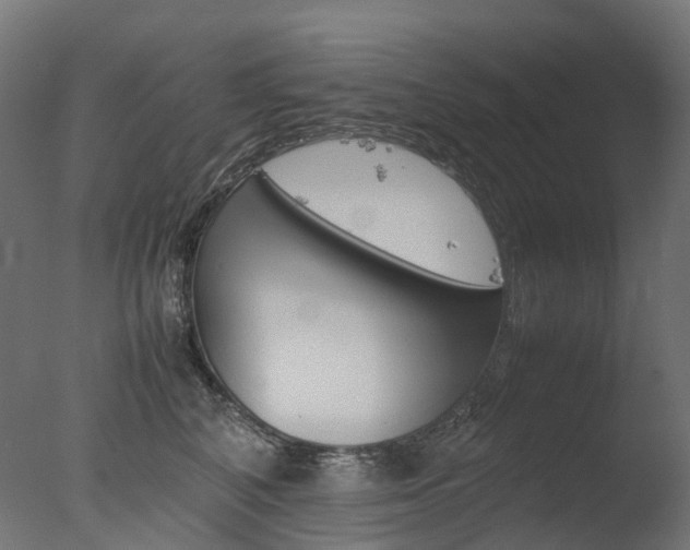 X0000077330616200610200916