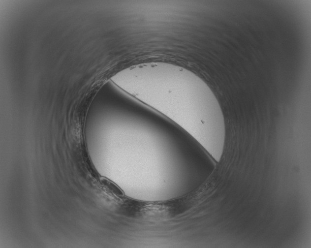 X0000077330617200610200916