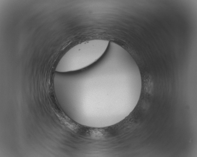 X0000077330618200610200916