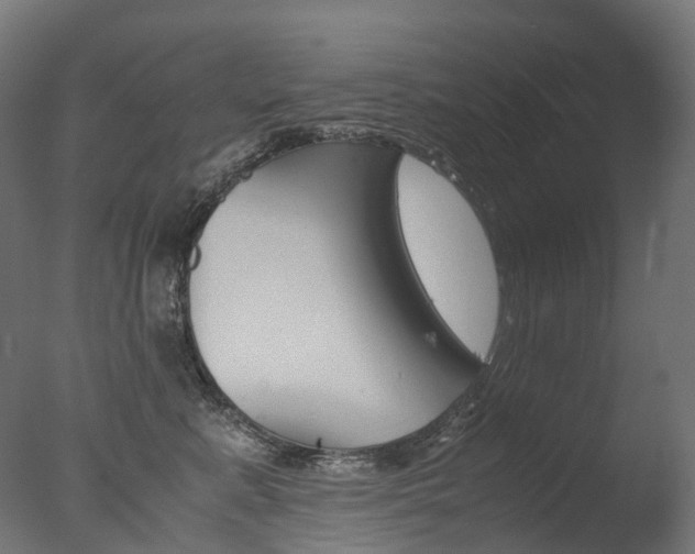 X0000077330619200610200916