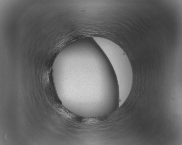 X0000077330621200610200916