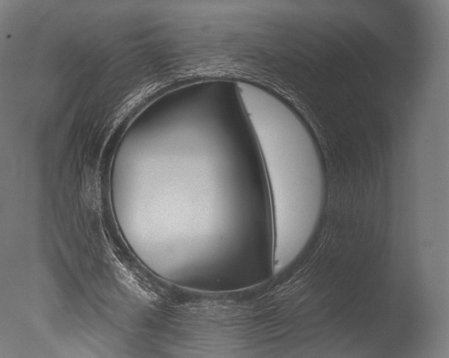 X0000077330626200610200915