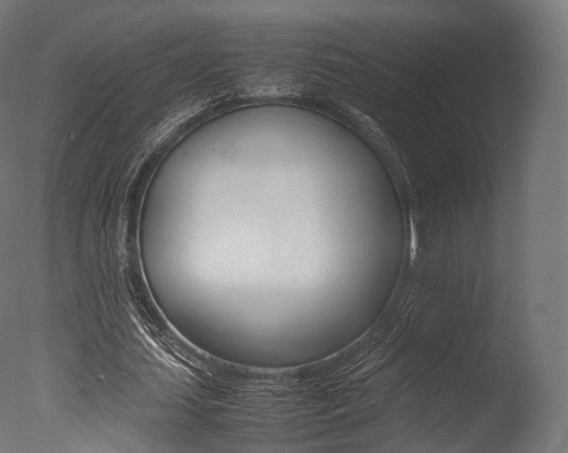 X0000077330627200610200915