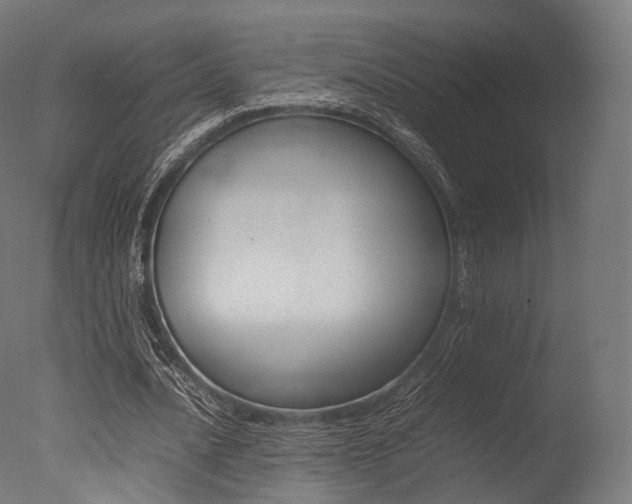 X0000077330628200610200915