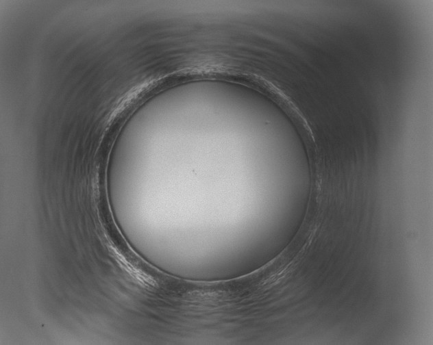X0000077330629200610200915