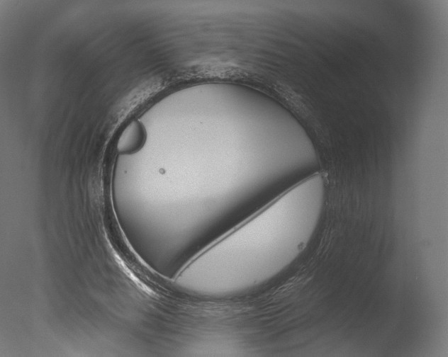 X0000077330630200610200915
